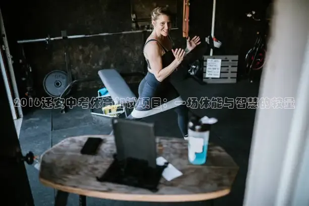 河豚nba直播